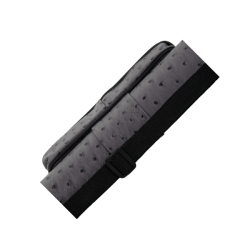 Preview: Köcher Player 1/1